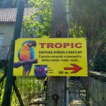 phoca_thumb_m_motlci tropic 46 Fotogalerie